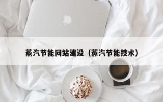 周口蒸汽节能网站建设（蒸汽节能技术）