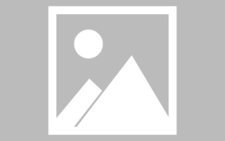周口龙江乐从网站建设（乐从和龙江）
